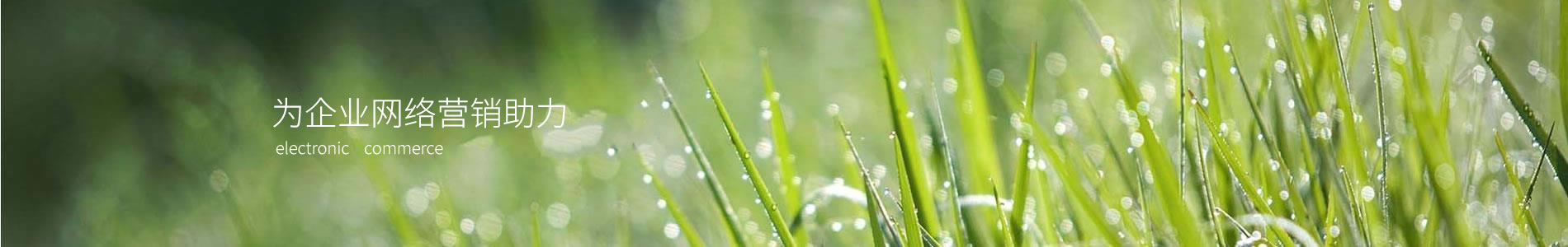 ؽԪ޹˾